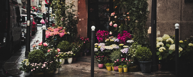 Ouvrir sa boutique de fleurs en 6 étapes